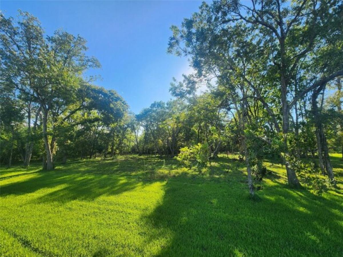 Picture of Residential Land For Sale in Brazoria, Texas, United States