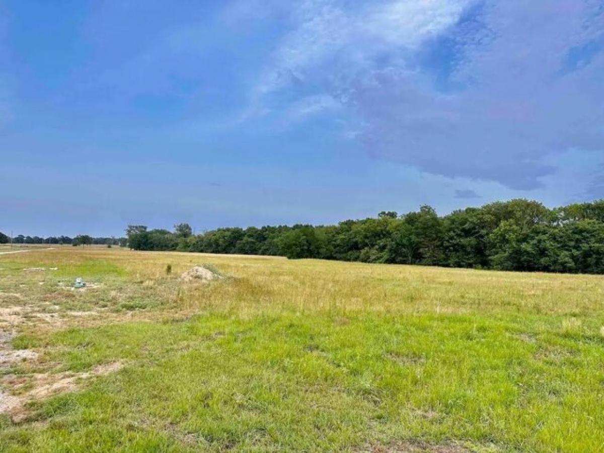 Picture of Home For Sale in Van, Texas, United States