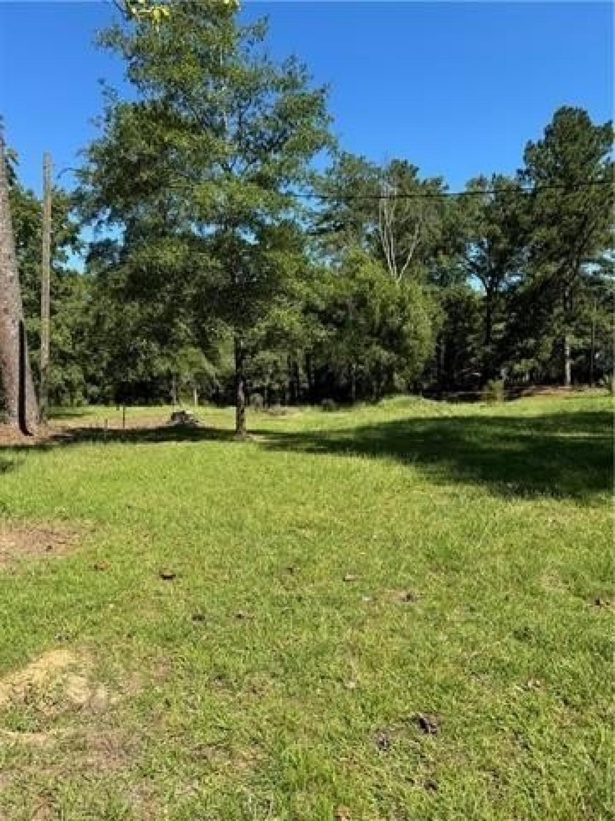 Picture of Residential Land For Sale in Dry Prong, Louisiana, United States