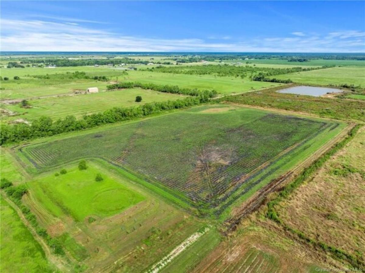 Picture of Residential Land For Sale in Iowa, Louisiana, United States