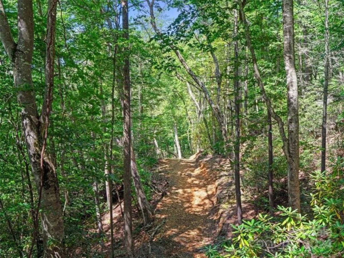 Picture of Residential Land For Sale in Spruce Pine, North Carolina, United States