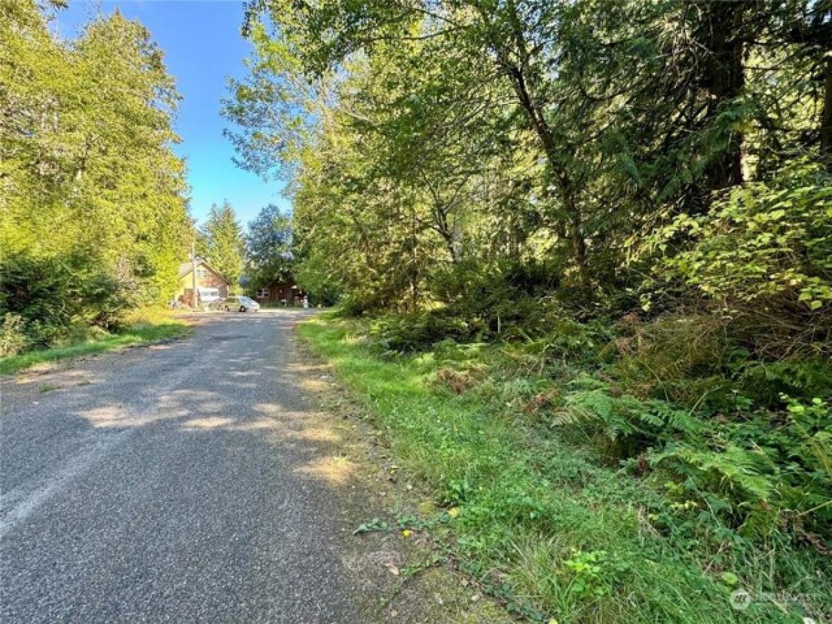 Picture of Residential Land For Sale in Anderson Island, Washington, United States