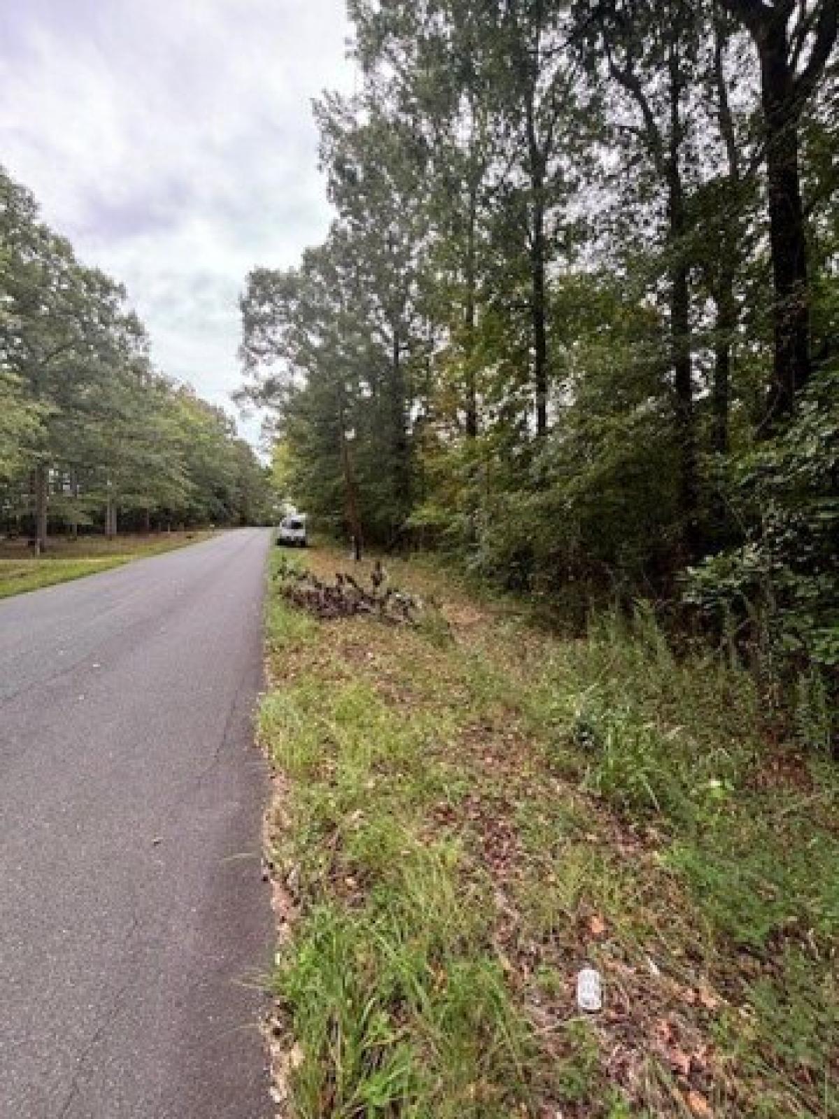 Picture of Residential Land For Sale in Waverly Hall, Georgia, United States