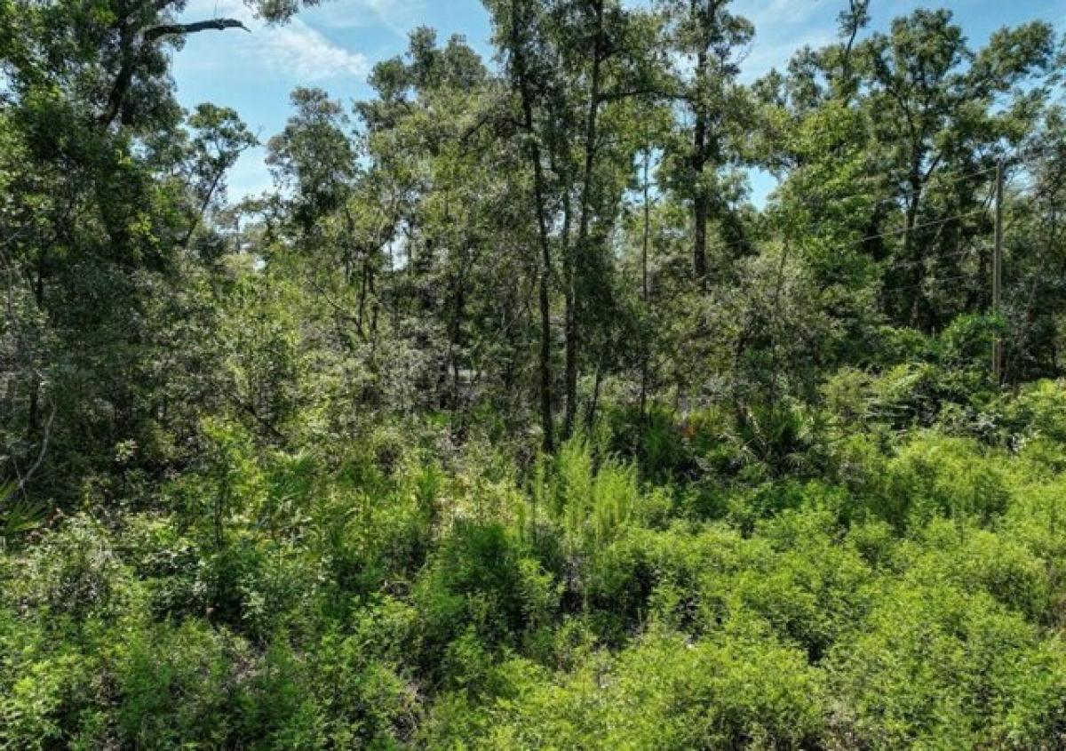 Picture of Residential Land For Sale in Old Town, Florida, United States