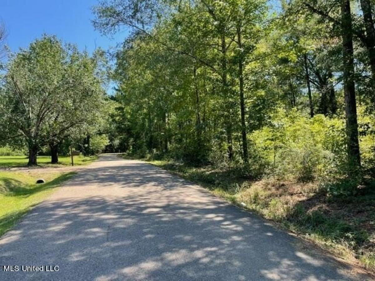 Picture of Residential Land For Sale in Brandon, Mississippi, United States