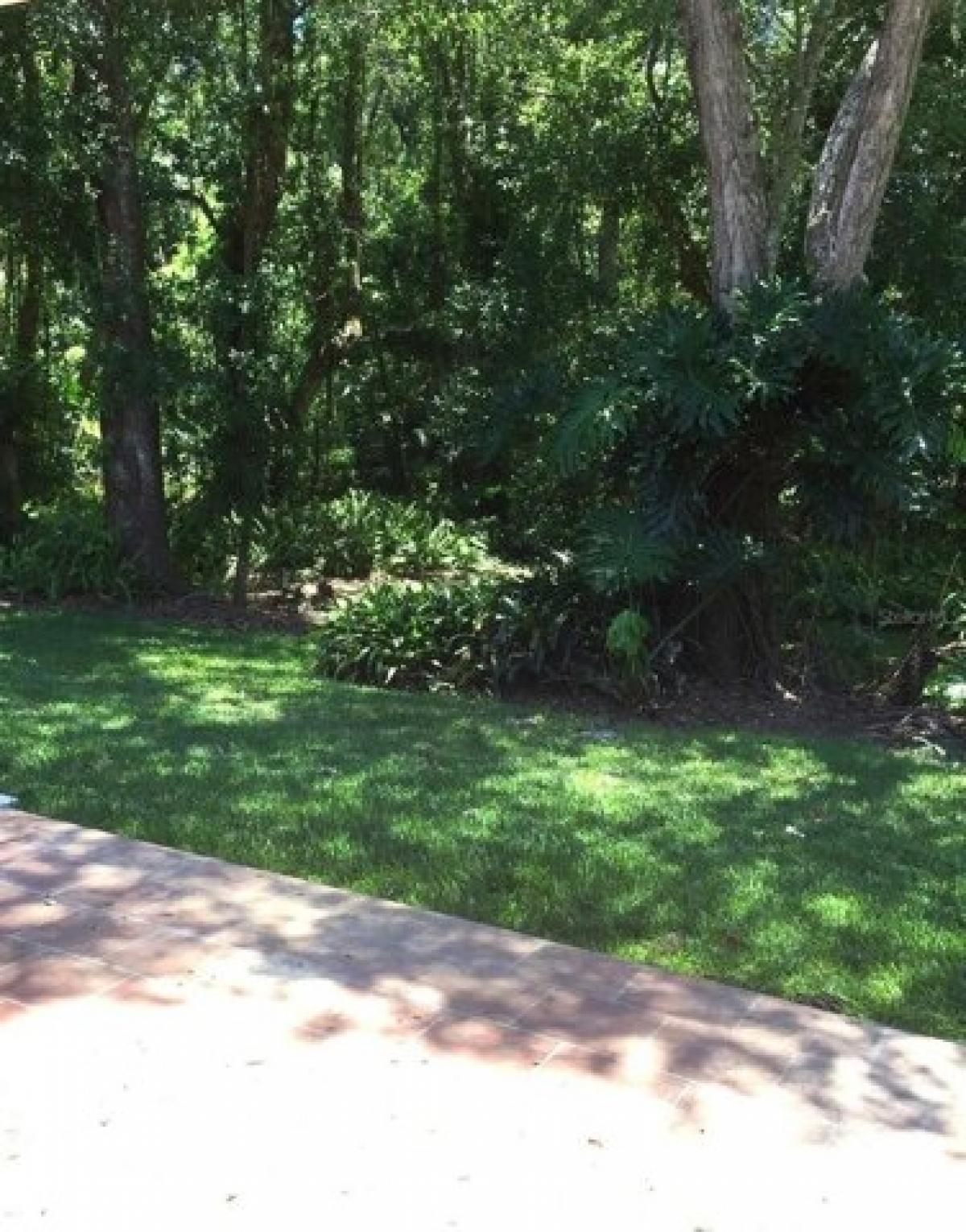 Picture of Home For Rent in Tampa, Florida, United States