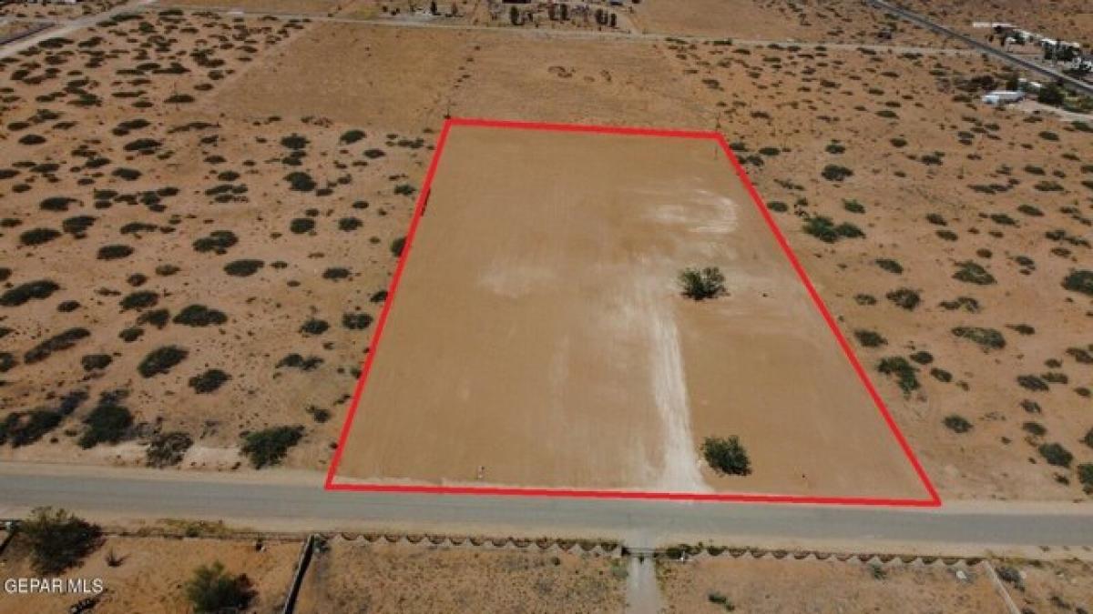 Picture of Residential Land For Sale in El Paso, Texas, United States