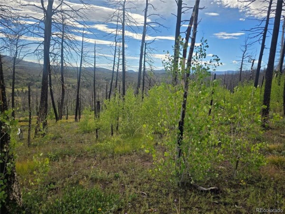 Picture of Residential Land For Sale in Fort Garland, Colorado, United States