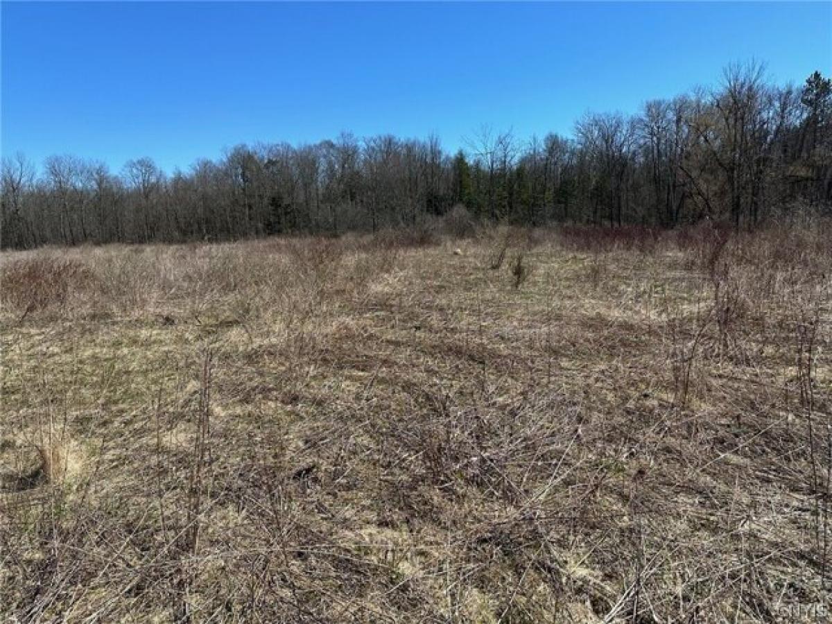 Picture of Residential Land For Sale in Verona, New York, United States