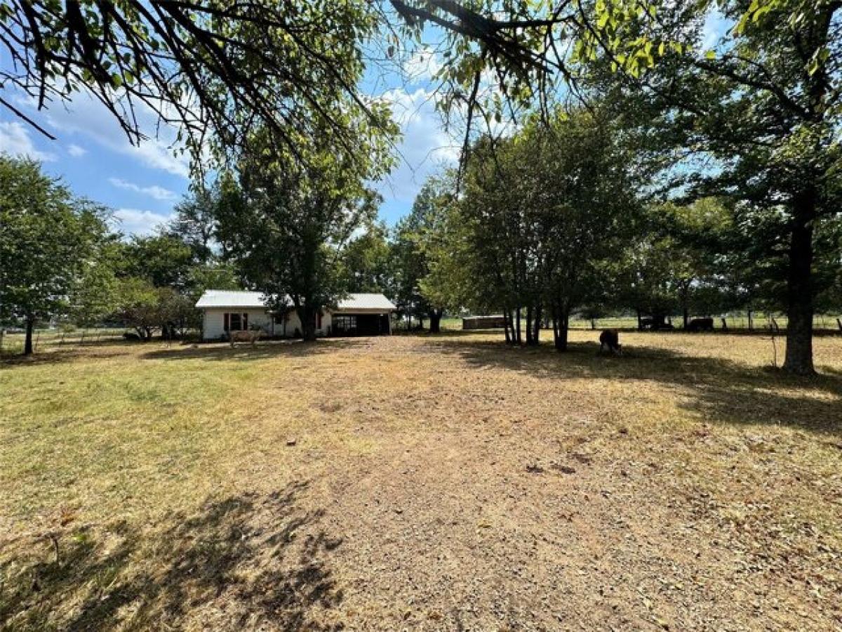 Picture of Residential Land For Sale in Blossom, Texas, United States