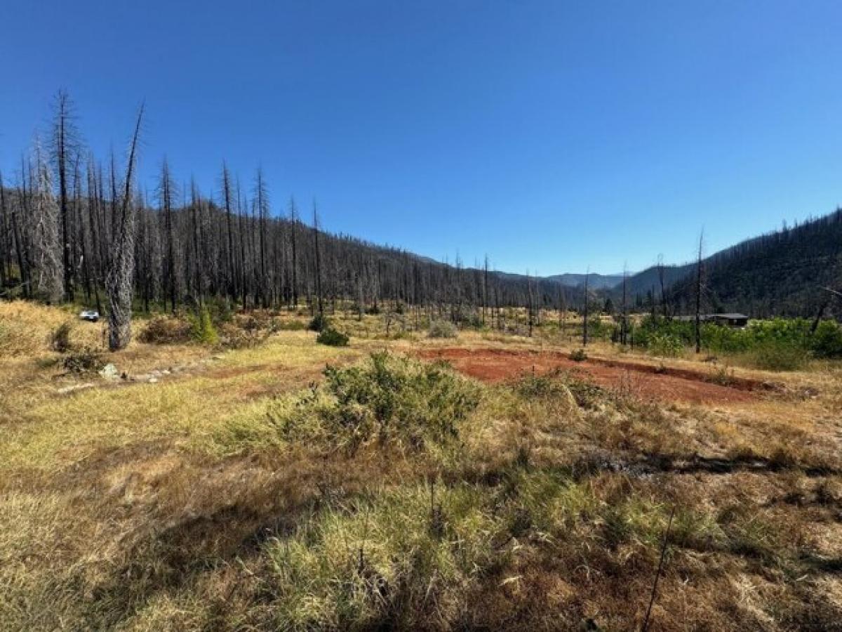 Picture of Residential Land For Sale in Happy Camp, California, United States