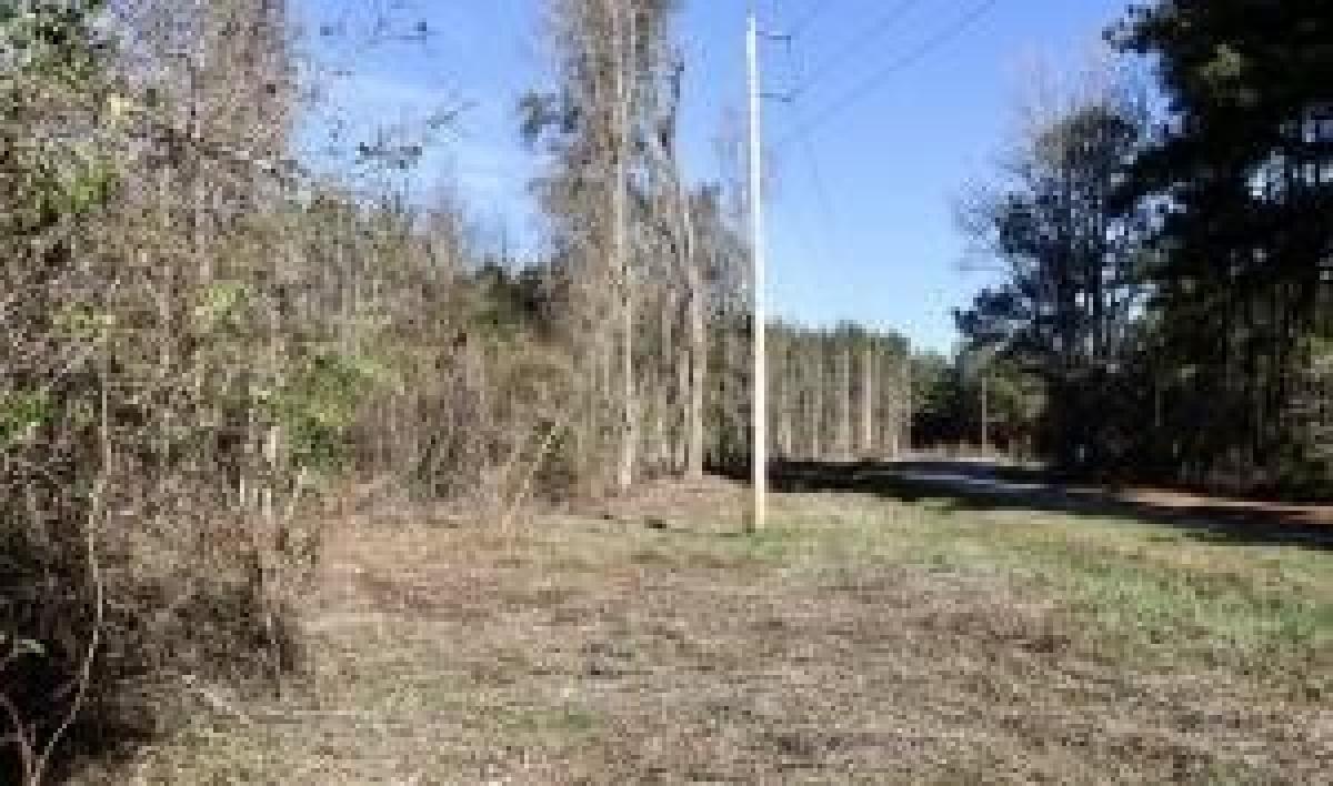 Picture of Residential Land For Sale in Harleyville, South Carolina, United States