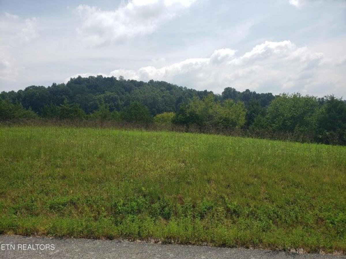 Picture of Residential Land For Sale in New Tazewell, Tennessee, United States