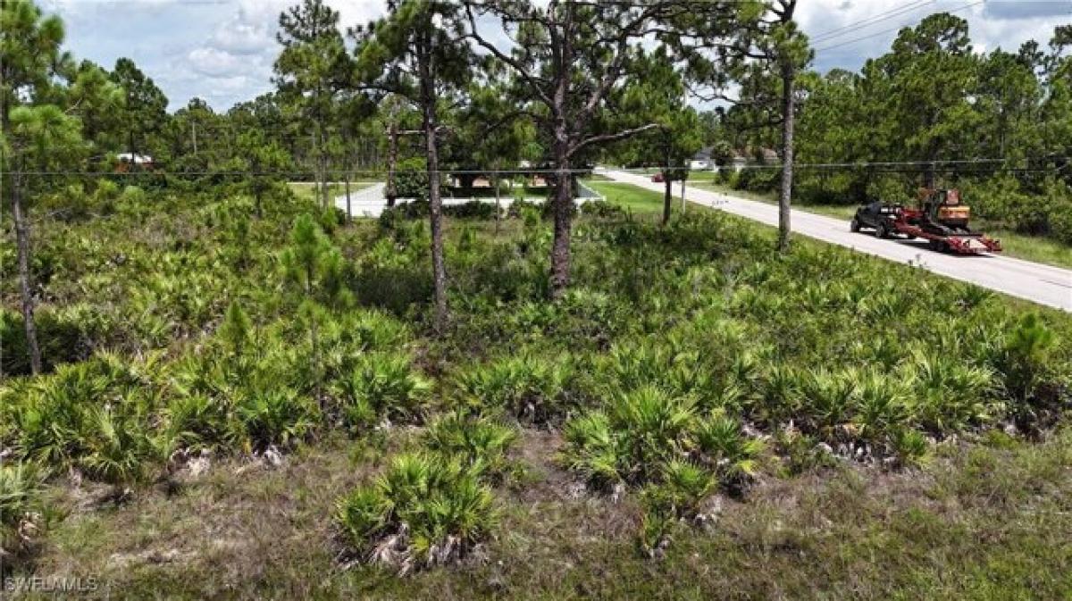 Picture of Residential Land For Sale in Lehigh Acres, Florida, United States