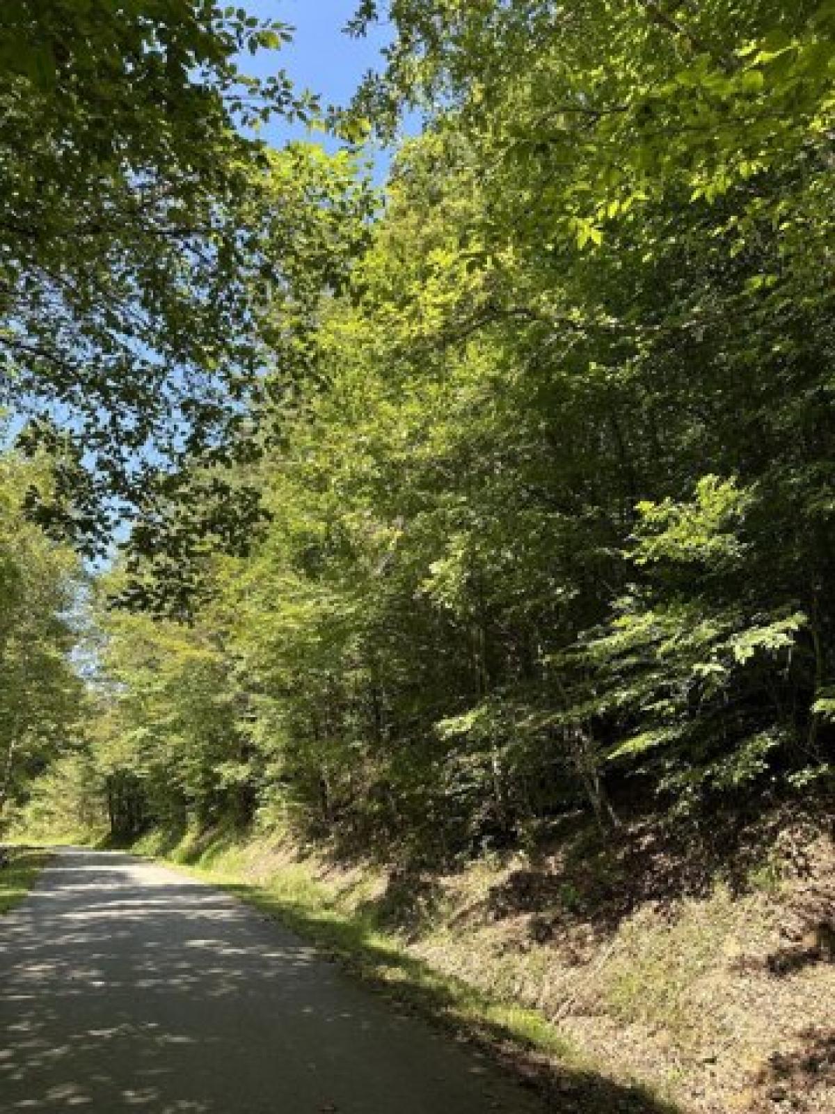 Picture of Residential Land For Sale in Manchester, Kentucky, United States