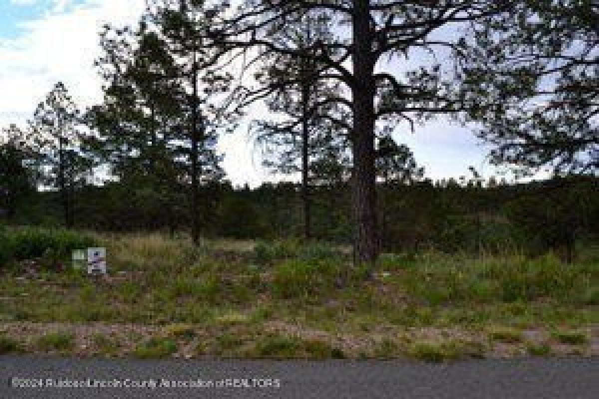 Picture of Residential Land For Sale in Alto, New Mexico, United States