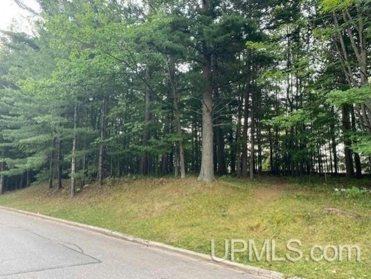 Picture of Residential Land For Sale in Marquette, Michigan, United States