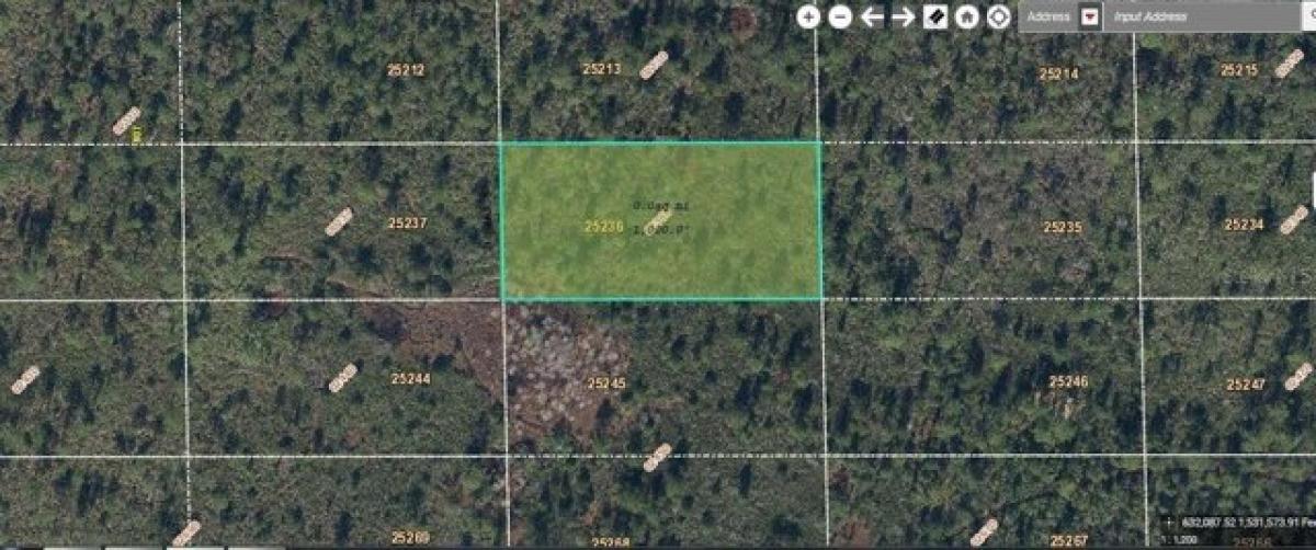 Picture of Residential Land For Sale in Orlando, Florida, United States