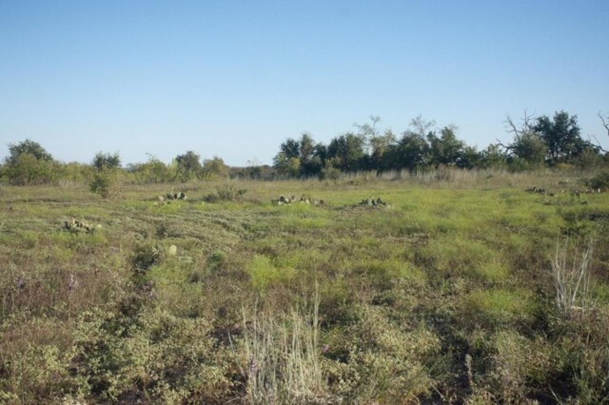 Picture of Residential Land For Sale in Lampasas, Texas, United States