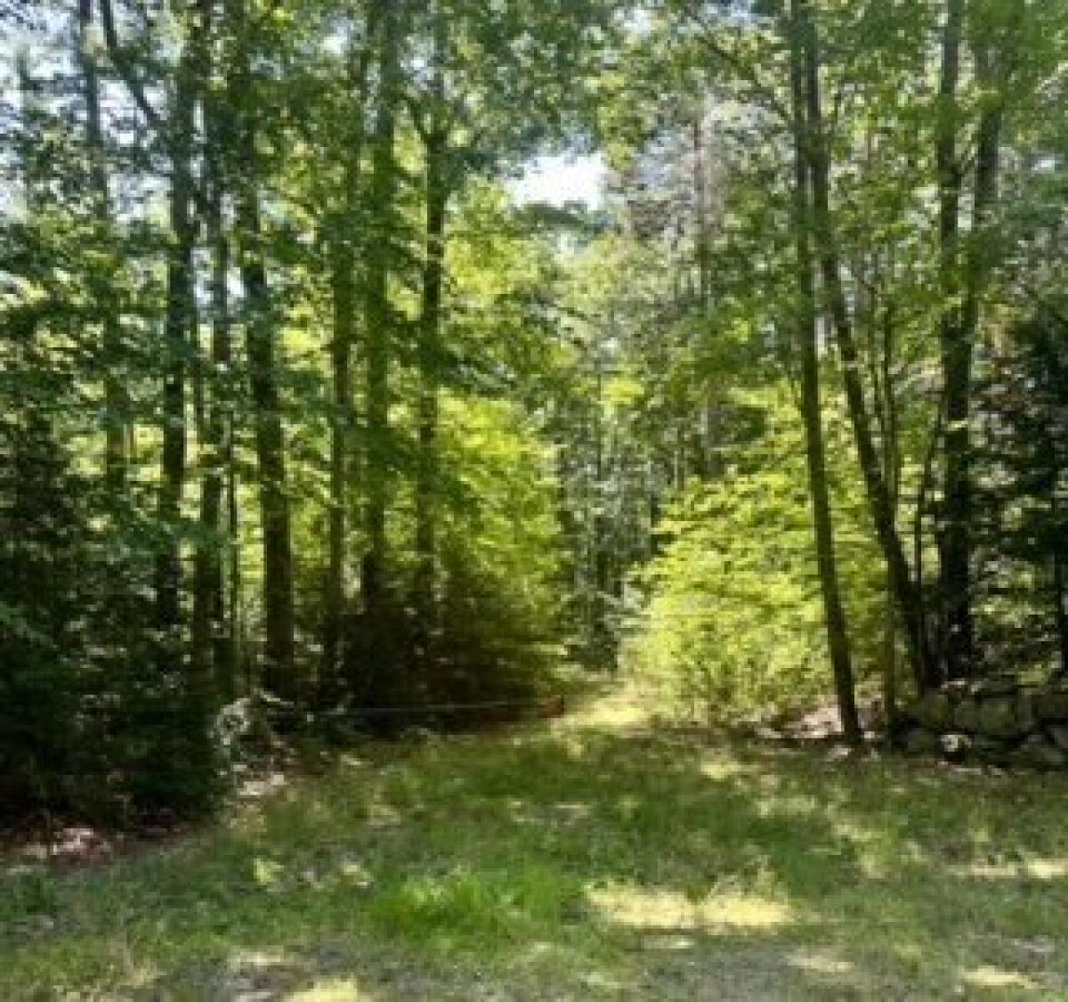 Picture of Residential Land For Sale in Winchendon, Massachusetts, United States