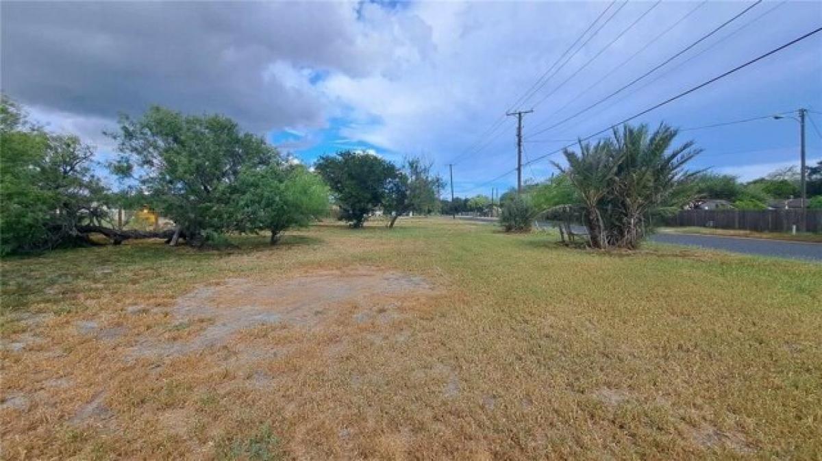 Picture of Residential Land For Sale in Kingsville, Texas, United States