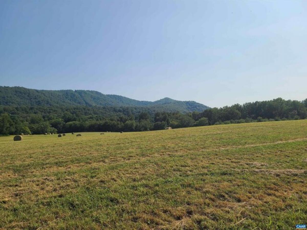 Picture of Residential Land For Sale in Covesville, Virginia, United States