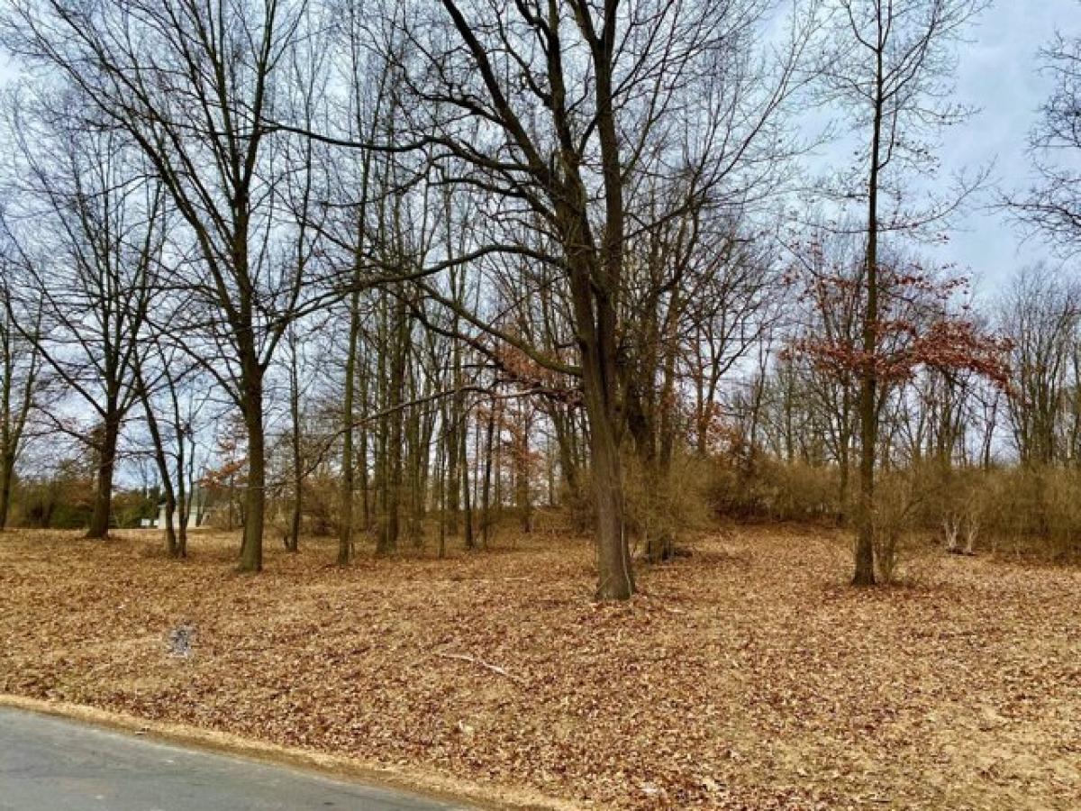 Picture of Residential Land For Sale in Jackson, Michigan, United States