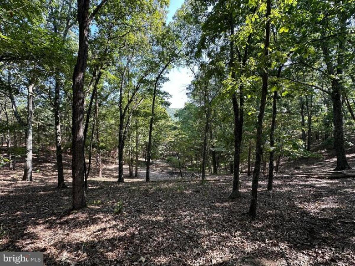 Picture of Residential Land For Sale in Romney, West Virginia, United States