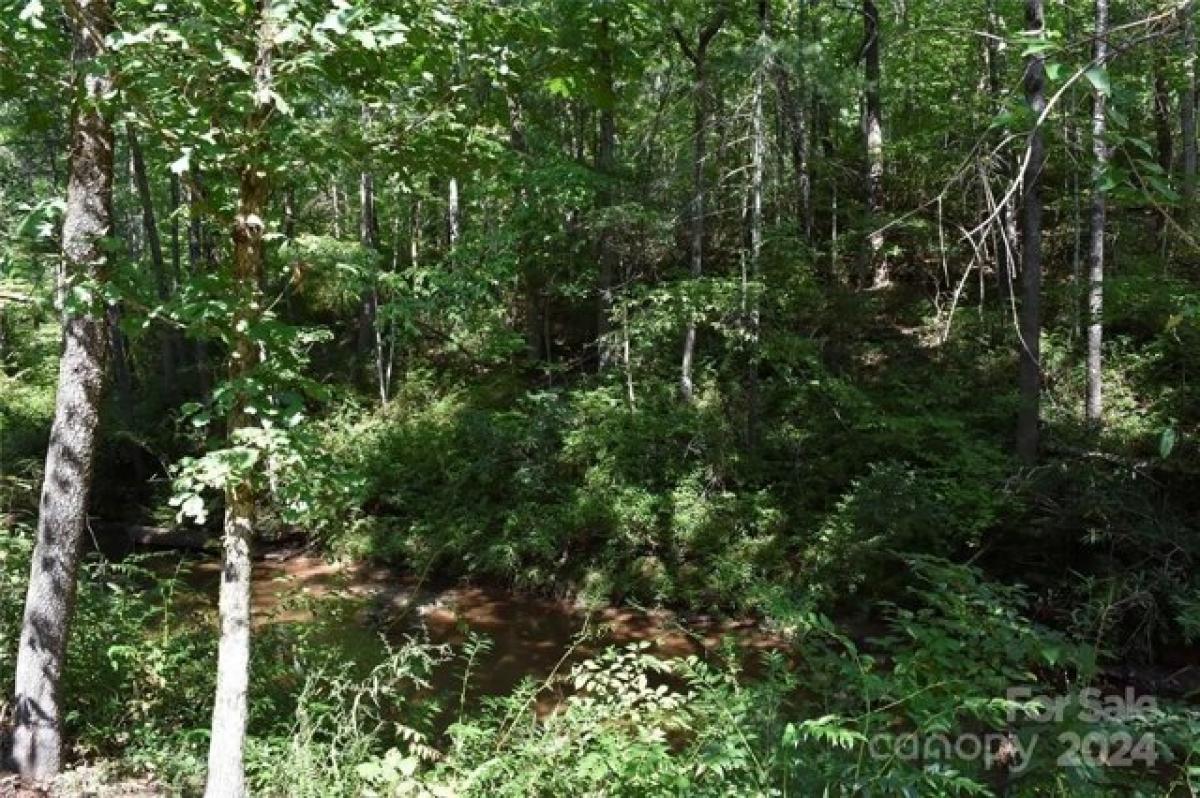 Picture of Residential Land For Sale in Mill Spring, North Carolina, United States