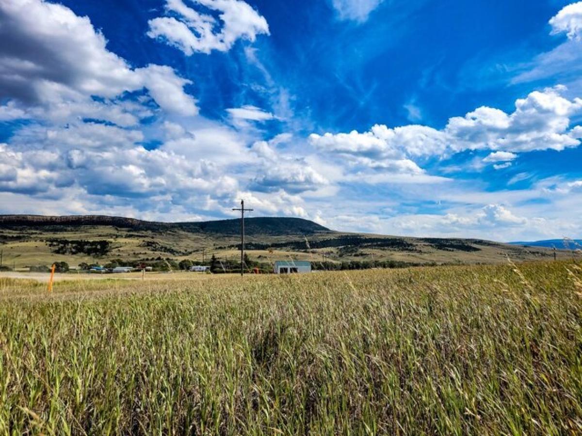 Picture of Residential Land For Sale in Hobson, Montana, United States