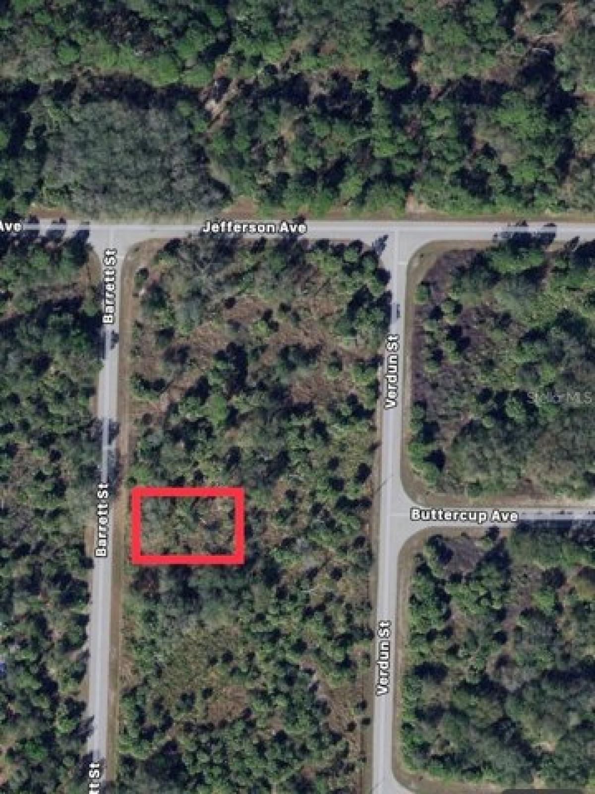 Picture of Residential Land For Sale in Port Charlotte, Florida, United States