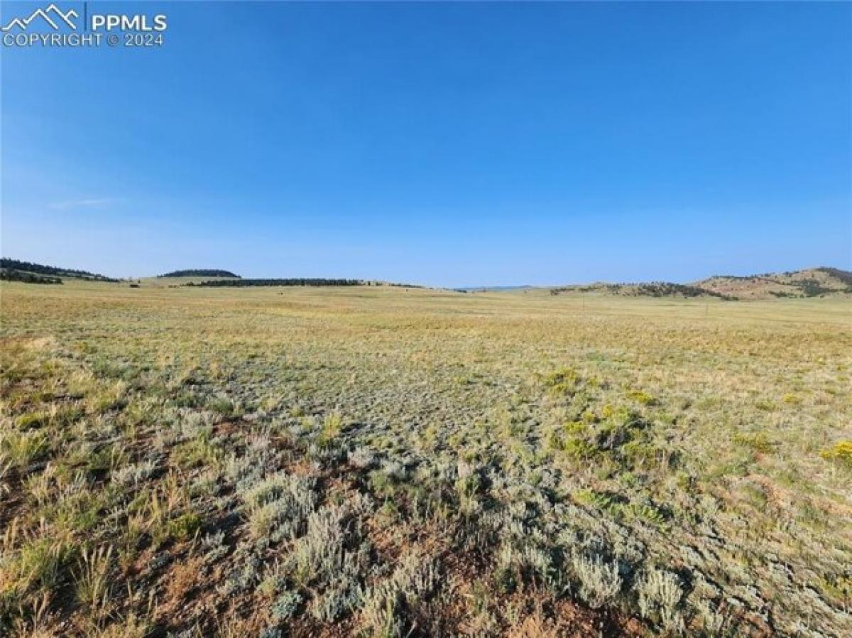 Picture of Residential Land For Sale in Hartsel, Colorado, United States