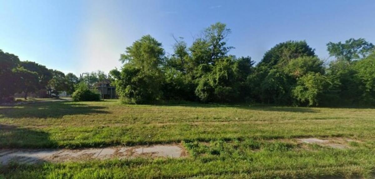 Picture of Residential Land For Sale in Detroit, Michigan, United States