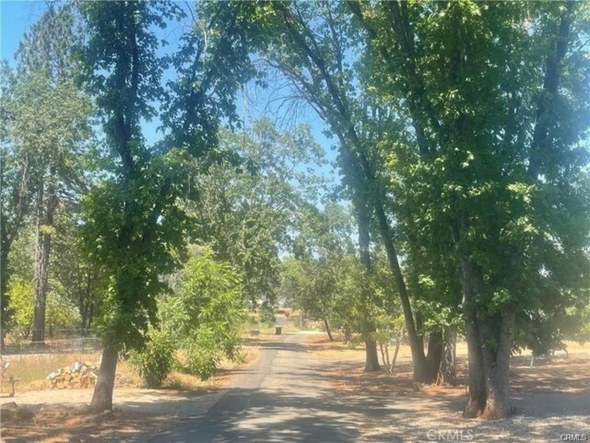 Picture of Residential Land For Sale in Paradise, California, United States