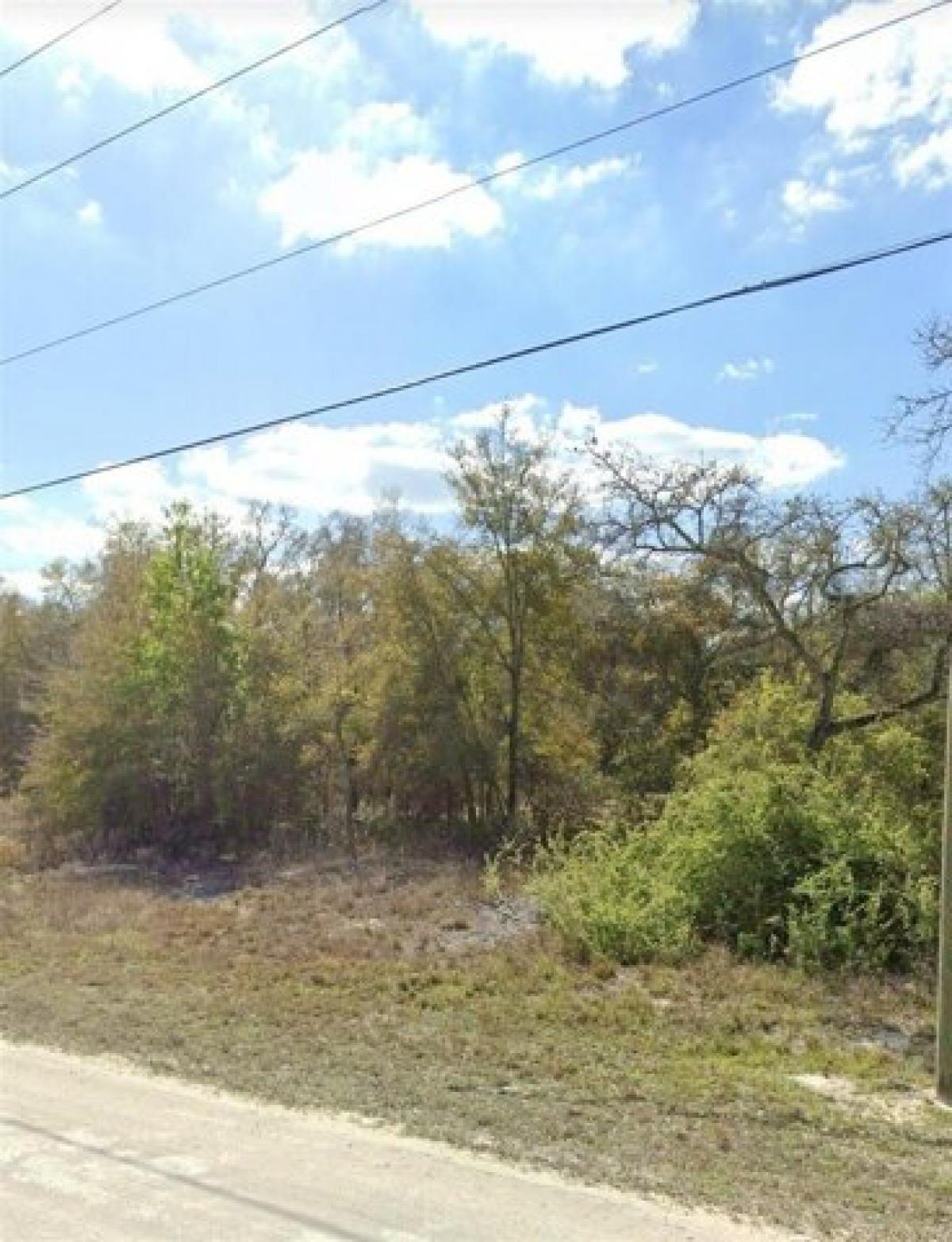 Picture of Residential Land For Sale in Dade City, Florida, United States