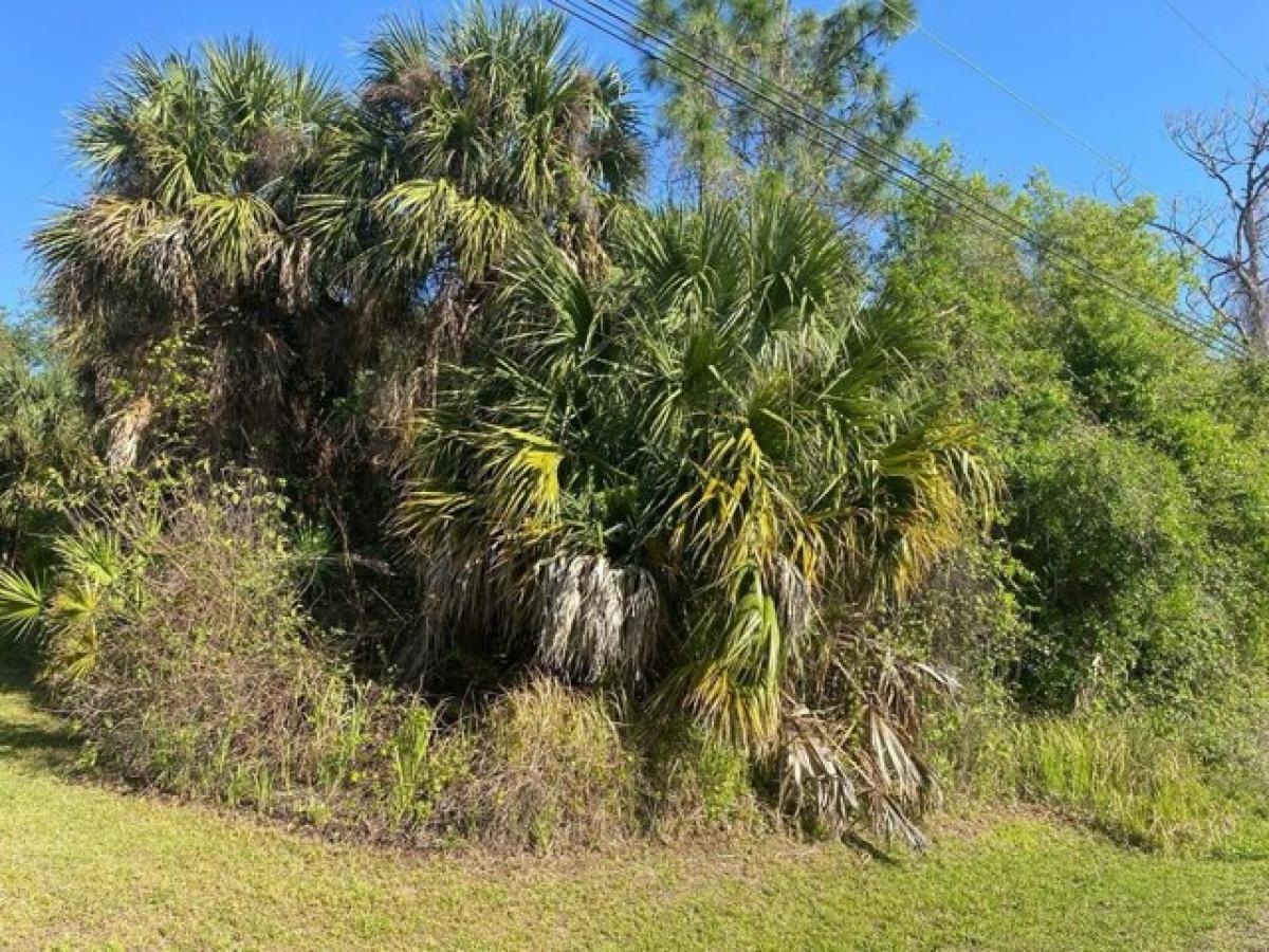 Picture of Residential Land For Sale in North Port, Florida, United States