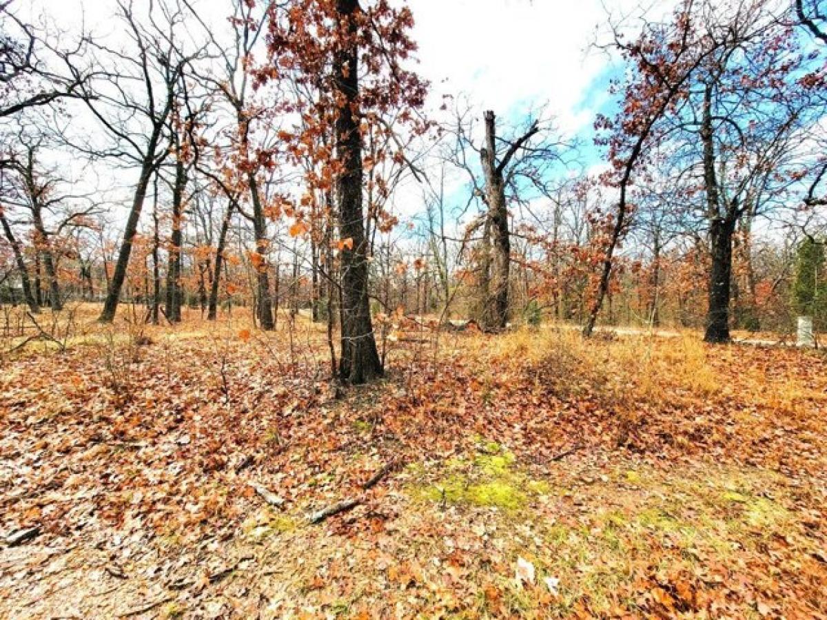 Picture of Residential Land For Sale in Malakoff, Texas, United States