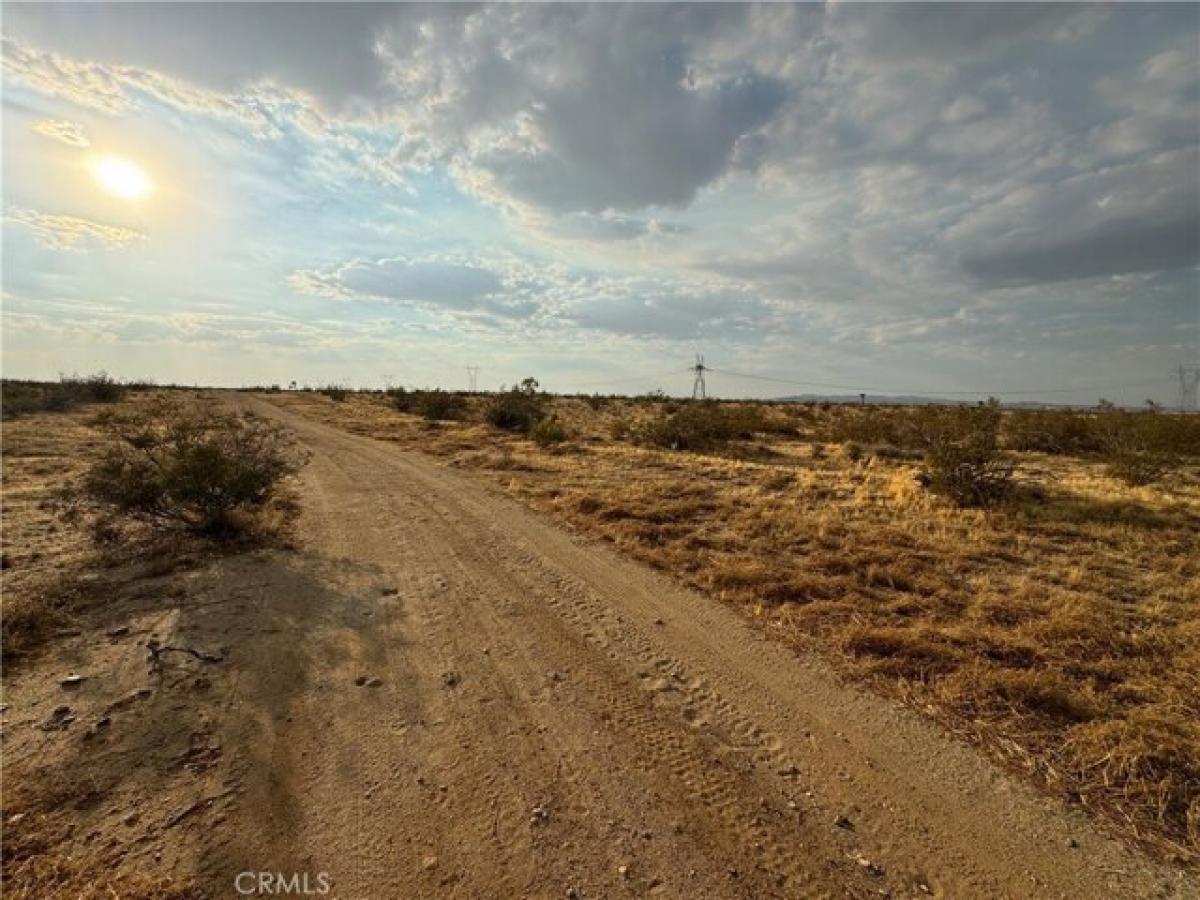 Picture of Residential Land For Sale in Adelanto, California, United States