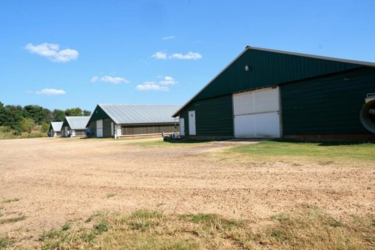 Picture of Residential Land For Sale in Forest, Mississippi, United States