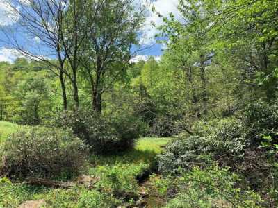 Residential Land For Sale in Nettie, West Virginia