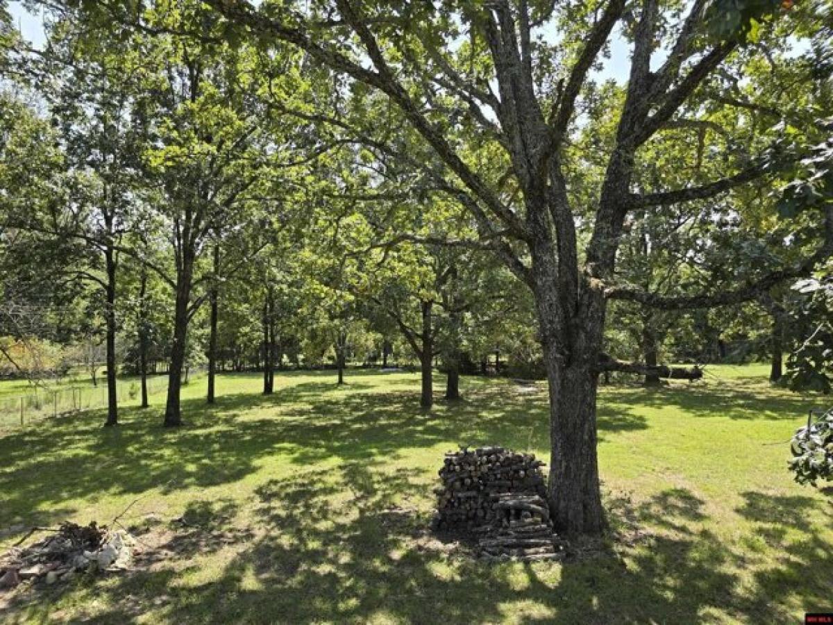 Picture of Residential Land For Sale in Gamaliel, Arkansas, United States