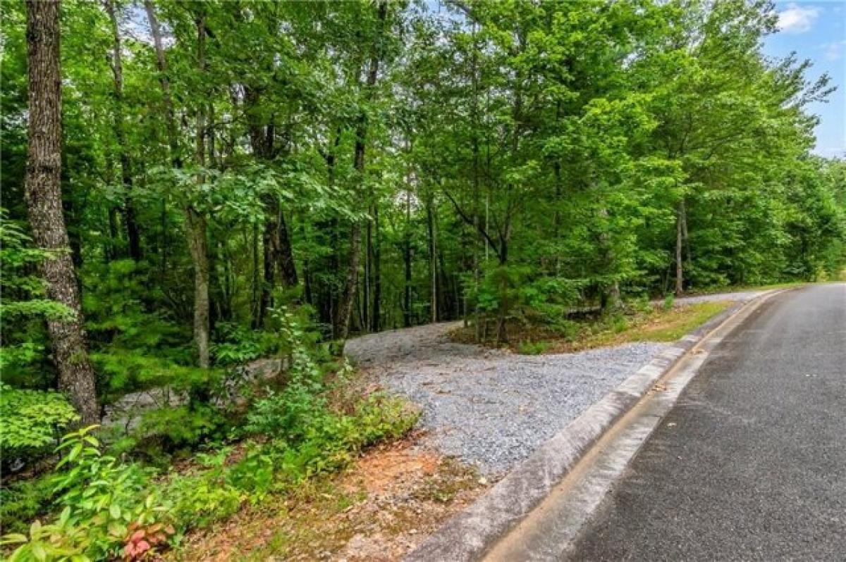 Picture of Residential Land For Sale in Ellijay, Georgia, United States