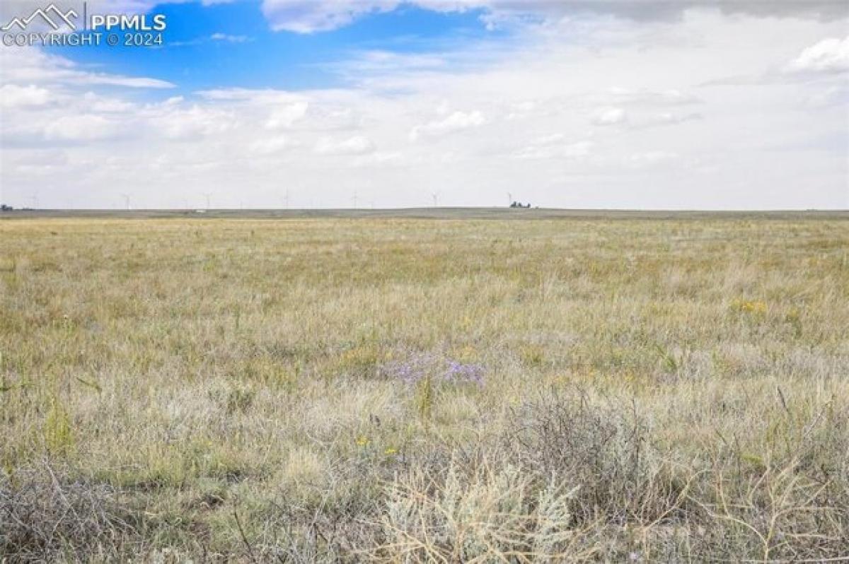 Picture of Residential Land For Sale in Calhan, Colorado, United States