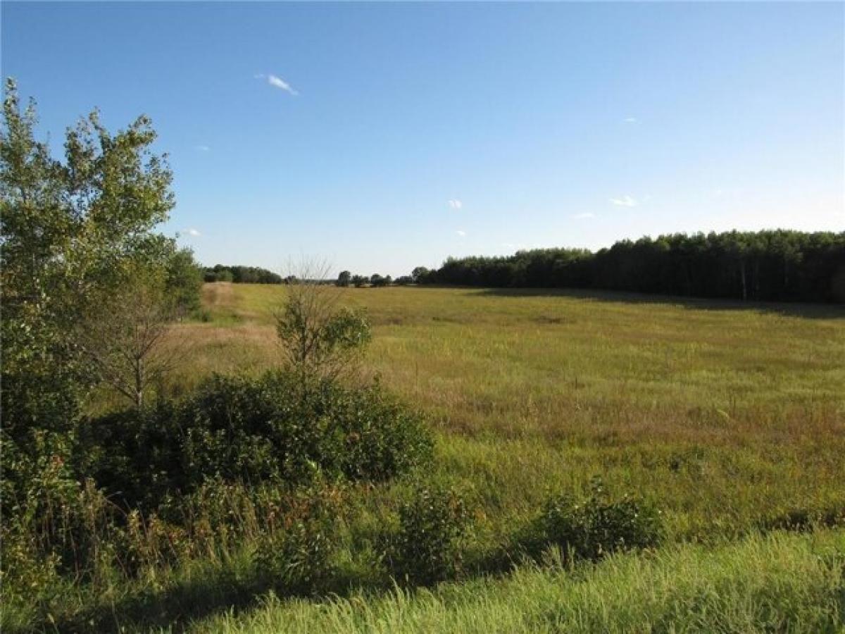 Picture of Residential Land For Sale in Backus, Minnesota, United States