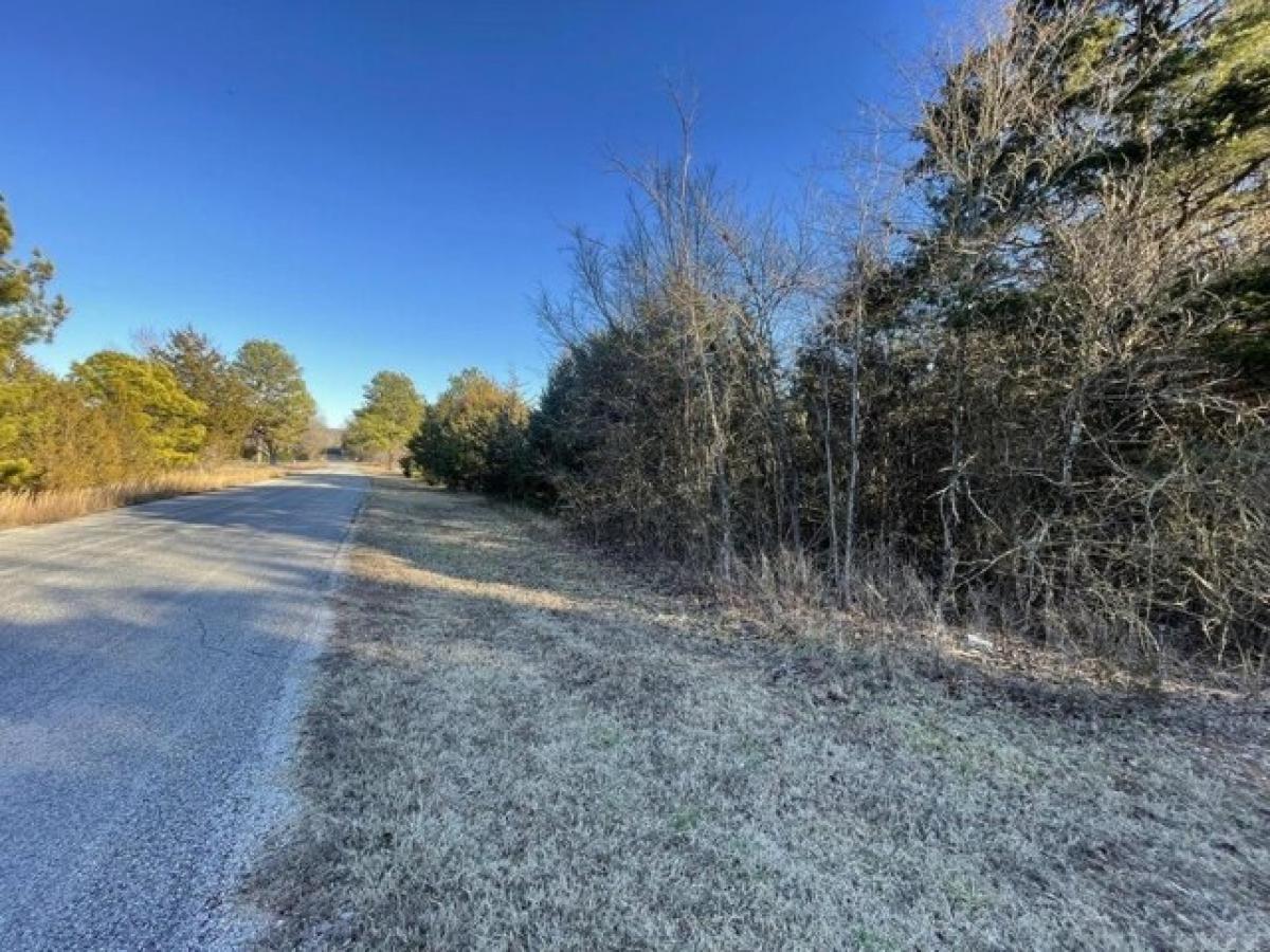 Picture of Residential Land For Sale in Horseshoe Bend, Arkansas, United States