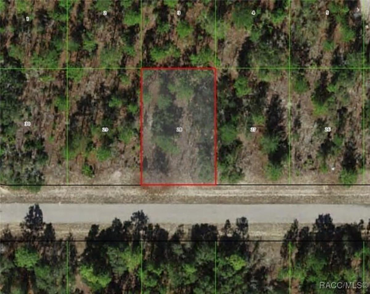 Picture of Residential Land For Sale in Citrus Springs, Florida, United States