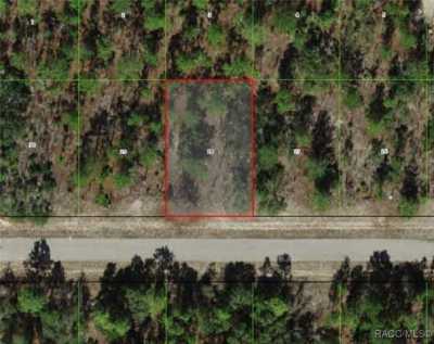 Residential Land For Sale in Citrus Springs, Florida