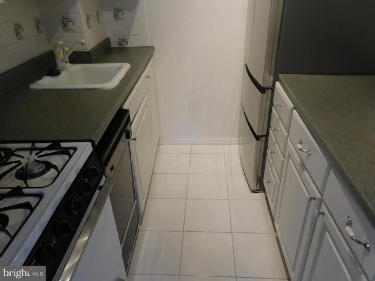 Picture of Apartment For Rent in Washington, District of Columbia, United States