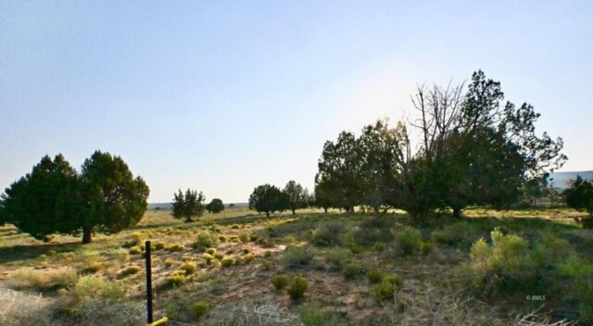 Picture of Residential Land For Sale in Kanab, Utah, United States