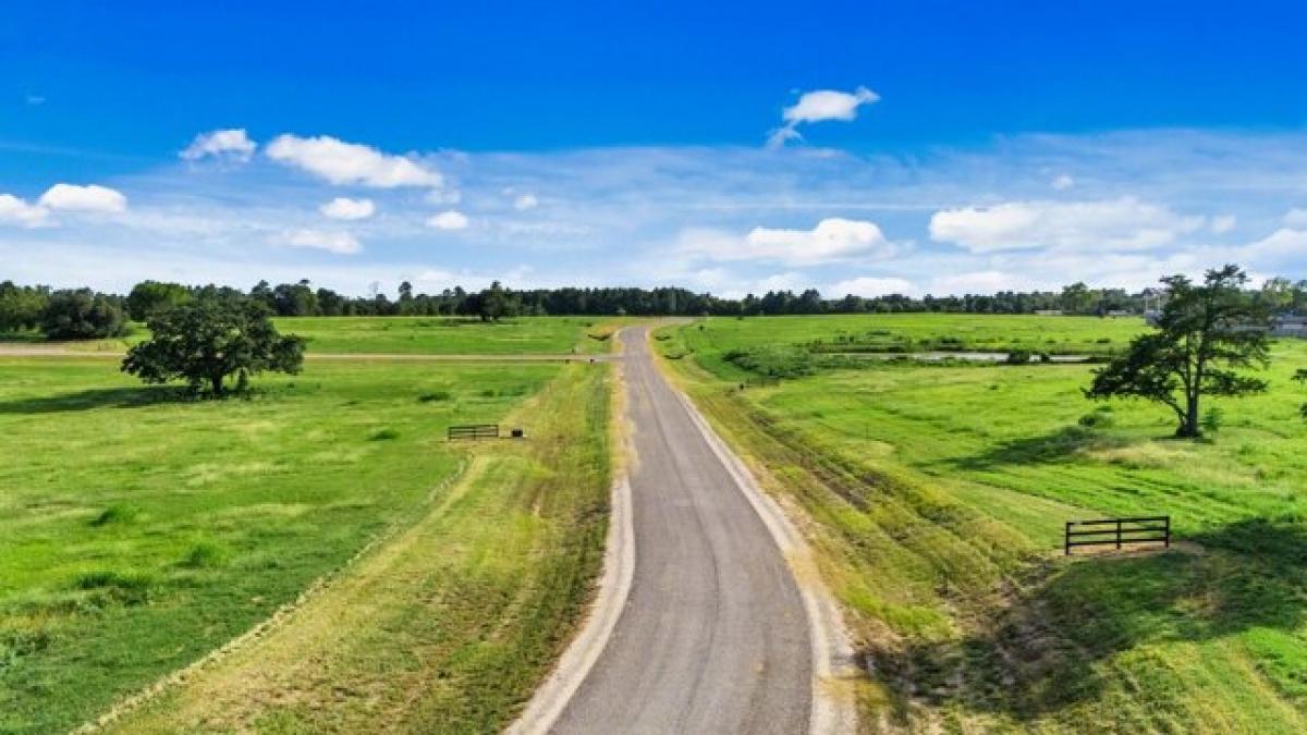 Picture of Residential Land For Sale in Round Top, Texas, United States